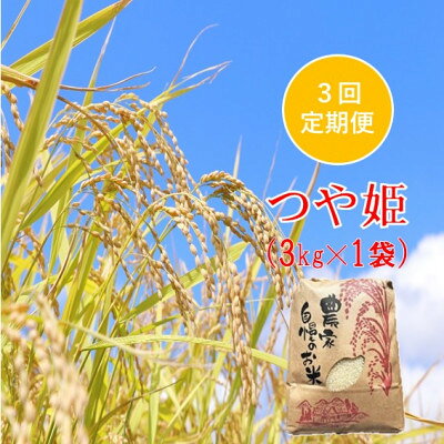 【ふるさと納税】【発送月固定定期便】つや姫 精米 3kg　佐藤全3回【4089324】