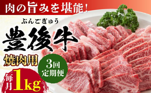 【全3回定期便】おおいた豊後牛 焼肉用 1kg(500g×2P) 日田市 / 株式会社MEAT PLUS　牛 うし 黒毛和牛 和牛 豊後牛 [AREI101]