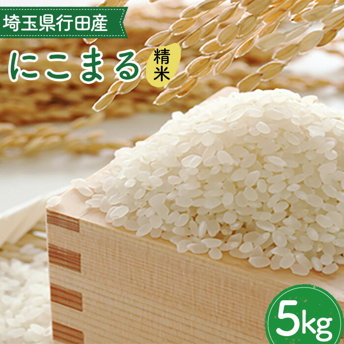 【ふるさと納税】埼玉県行田産にこまる（精米）5kg×1 ／ にこまる 白米 精米 5kg 特別栽培米 大粒 米 甘み 粘り 精米したて 冷めても美味しい お弁当 おにぎり 毎日食べる米 粒立ち 送料無料 埼玉県 No.519