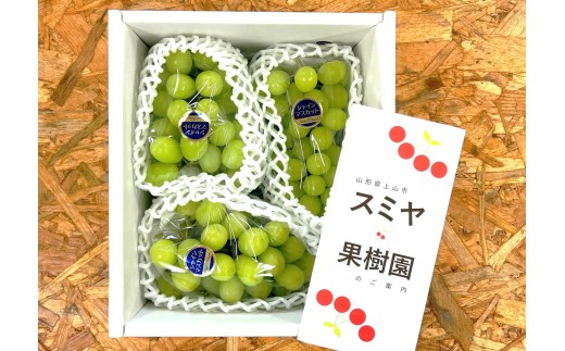 ぶどう（シャインマスカット）１.５ｋｇ（房小さめ）　0047-2610