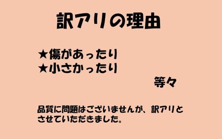 ZS-960  【訳アリ】かぼちゃ（栗五郎） 10kg  季節限定 農家直送 鹿児島県産