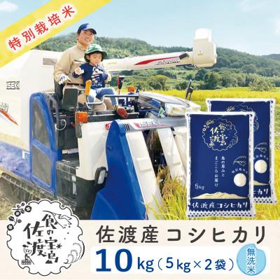 ふるさと納税 佐渡市 佐渡島産コシヒカリ 無洗米10Kg(5Kg×2袋)  土屋農園 農家直送 令和7年産 特別栽培米