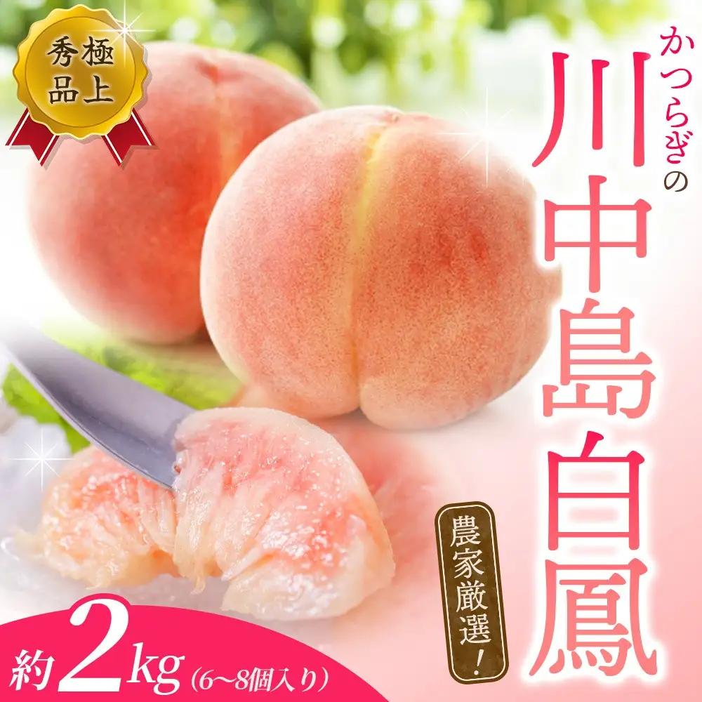 【予約受付】こだわり農家厳選 川中島白桃 和歌山産の桃 　大玉特秀品　 約2kg（6個~8個）【2027年7月下旬から8月下旬順次発送予定】（お届け日指定不可）/ 桃 もも モモ 白桃 川中島 フルーツ 果物 くだもの 旬 人気 産地直送 甘い 【kgr011B】