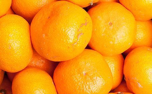 家庭用 大きな有田みかん10kg+250g（傷み補償分）［2025年11月中旬から2026年1月下旬頃順次発送予定］［IKE243］