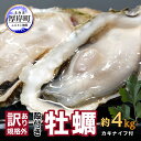 【ふるさと納税】訳あり 牡蠣 北海道厚岸産 殻付カキ 約4kg (25から50個) カキナイフ付 生食　 生牡蠣 貝付き牡蠣 貝 海鮮 魚介類 殻付き牡蠣