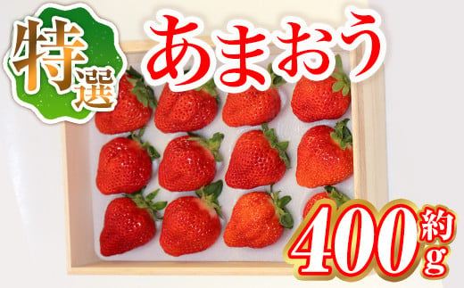 ＜先行予約受付中・2024年12月中旬より順次発送＞特選あまおう(計約400g) 苺 フルーツ 果物 エクセレント 数量限定 冷蔵 高級 スイーツ ケーキ ケーキ作り 厳選 贈答用＜離島配送不可＞【ksg1511】【よっちゃんファーム】