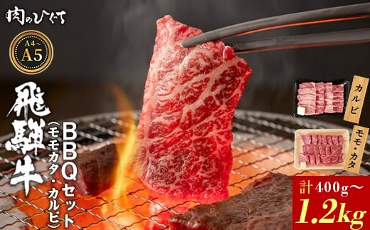 
            選べる！ 飛騨牛 BBQセット（カルビ・モモカタ） 400g～1.2kg A5 A4 国産 牛 冷凍 和牛 牛肉 カルビ もも モモ カタ 肩 かた 豪華 ギフト 贈答 にく お肉 肉 東白川村 岐阜 飛騨 贅沢 霜降り 赤身 肉のひぐち
          