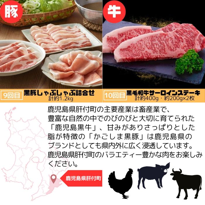 【F90001】＜定期便・全10回＞肝付町セレクト定期便《肉だらけ定期便C》_イメージ5