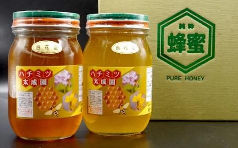 Ｋ１　蜂蜜（百花蜜６００ｇ）２個セット