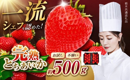 栃木県産 お試しとちあいか（サイズ不揃い） 約250g×2P 栃木県 矢板市