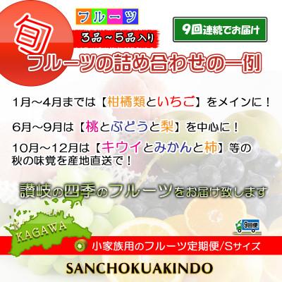 ふるさと納税 坂出市 【毎月定期便】産直あきんどのフルーツセットSサイズ 詰め合わせ ( 約3 〜 5品 )全9回 |  | 01