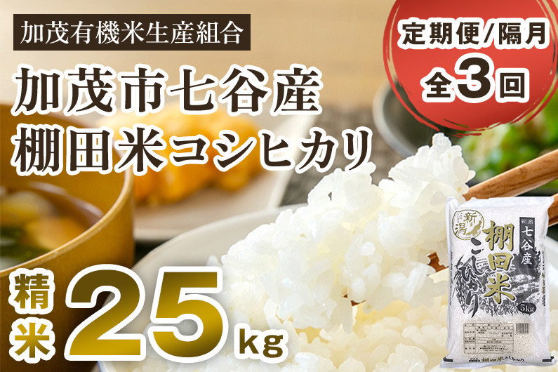 
            【令和7年産新米先行予約】【定期便3回隔月お届け】七谷産 棚田米 コシヒカリ 精米 25kg（5kg×5）《10月中旬から順次出荷》 白米 加茂有機米生産組合 新潟県 加茂市産 白米 米 お米 定期便
          
