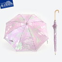 【ふるさと納税】 傘 晴雨兼用傘 長傘 日傘 雨傘 レディース UVカット 防水 撥水 レイングッズ harefune ハレフネ ハーブス パープル ブランド デザイン おしゃれ さわやか ギフト 母の日 プレゼント 誕生日 和風 日本 伝統 職人 ほぐし織 富士吉田市 山梨