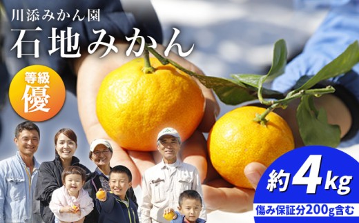 【12月上旬より配送】 石地みかん/優品 みかん 約4kg（傷み保証分200g含む）みかん ミカン 西海 みかん 西海市 みかん 贈答 ギフト  ＜川添みかん園＞ [CCT005]