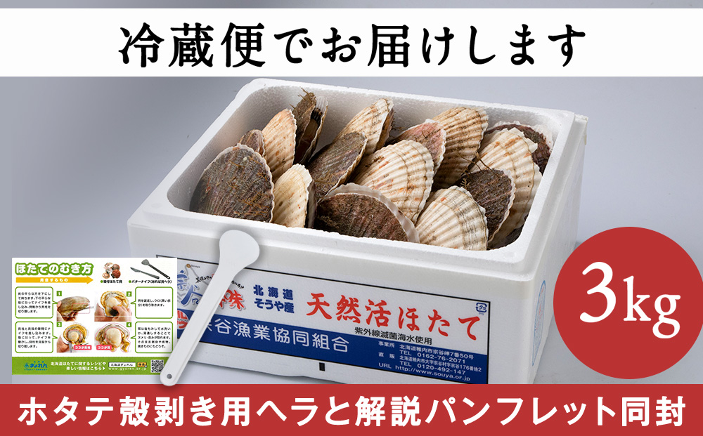 ＜先行受付＞宗谷漁協発!産地直送!活ほたて約3㎏(13～15枚入)刺身 海鮮