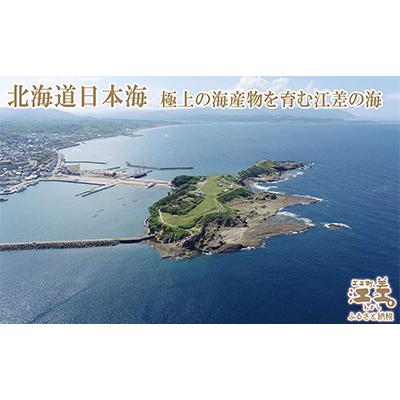 ふるさと納税 江差町 【檜山ブランド】フリーズドライなまこ[檜山海参]製品(2本) |  | 03