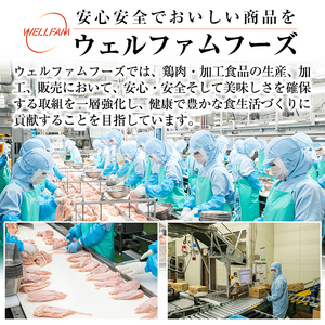 A0-272 ＜2024年4月発送分(4月30日迄に発送)＞森林どり むね肉(2kg×3袋・計6kg)【ウェルファムフーズ】