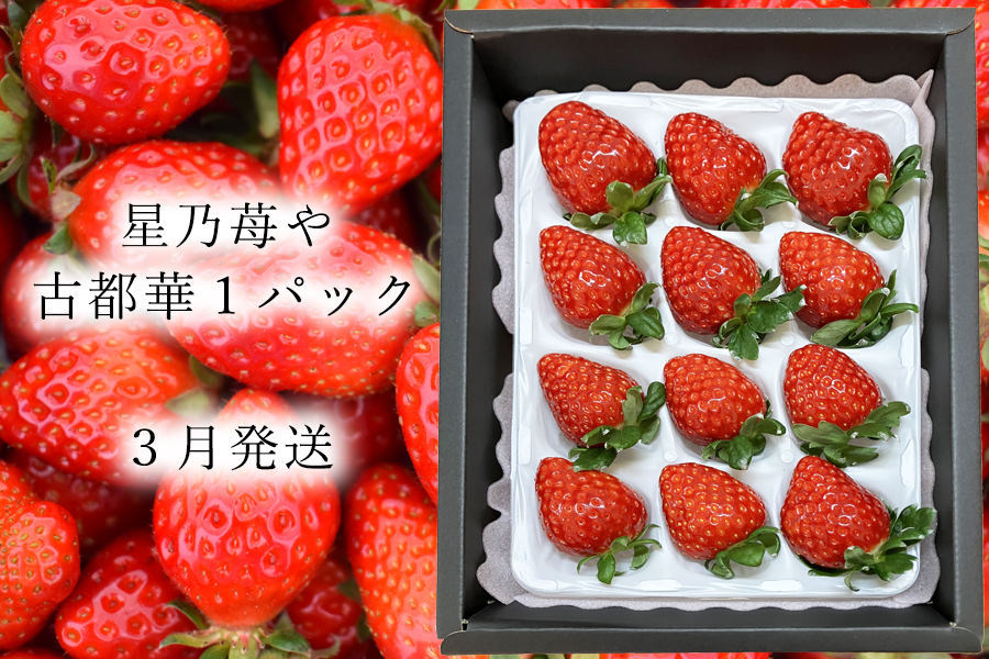 【先行予約】【古都華】1パック 2026年3月発送 ///苺 いちご イチゴ ストロベリー  古都華 奈良 奈良県 広陵町 生産者直送  直送 厳選 数量限定 旬 フルーツ 甘い 完熟 果物