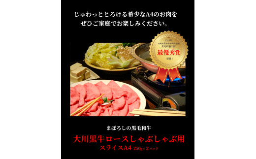 国産黒毛和牛 大川黒牛 ロース しゃぶしゃぶ用 スライス A4（250g×2パック） 国産 黒毛和牛 A4 ロース 牛肉 しゃぶしゃぶ 牛しゃぶ 鍋 牛 ビーフ 肉 食品 高知県 大川村 F6R-02