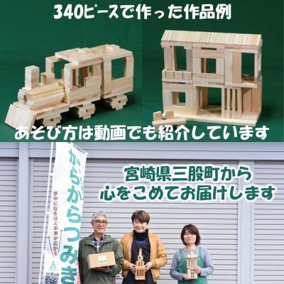 ふるさと納税 三股町 みやざきスギのつみき　からからつみき3種類クリエイティブセット340P【B-1708】 |  | 03