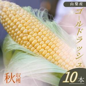 【山梨県南部町産】朝採れゴールドラッシュ10本【配送不可地域：離島】【1663448】