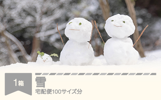 
                  天然の雪 100サイズ分 催物 山形県村山市 rk-snxxx100
                