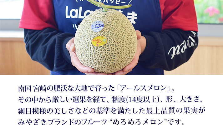 【期間限定】みやざきブランドフルーツ「めろめろメロン」1箱(3L×2玉) 糖度14度以上 1玉1.8kg以上 産地直送 濃厚な甘さ みずみずしい果汁 やわらかな果肉 さわやかな香り アールスメロン ギ