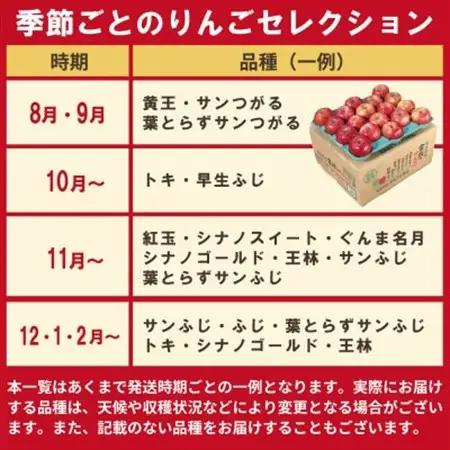 【10月～11月出荷】りんご 品種おまかせ 約3kg 訳あり【配送不可地域：離島・沖縄県】【1668105】