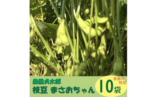 
            【7月下旬より順次発送】農園貞太郎 枝豆まさおちゃん 10袋（入金期限：2026.7.10）
          