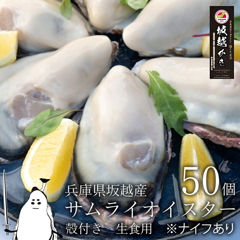 【ふるさと納税】牡蠣 生食 坂越かき 殻付き 50個(牡蠣ナイフ・軍手付き)サムライオイスター 生牡蠣 冬牡蠣 魚貝類 　お届け：2025年12月中旬～2026年4月下旬
