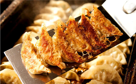 餃子 【3回定期便】冷凍自家製餃子セット６０個 [ANCT022] 餃子