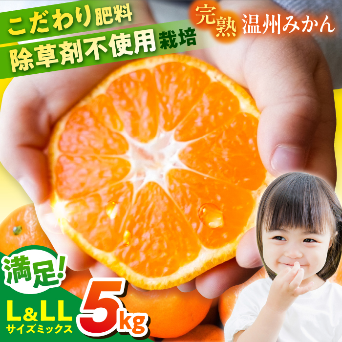 【先行予約】【数量限定】温州みかん　Lサイズ＆LLサイズ 5kg　津久井浜みかん　【志村農園】 [AKGH008]