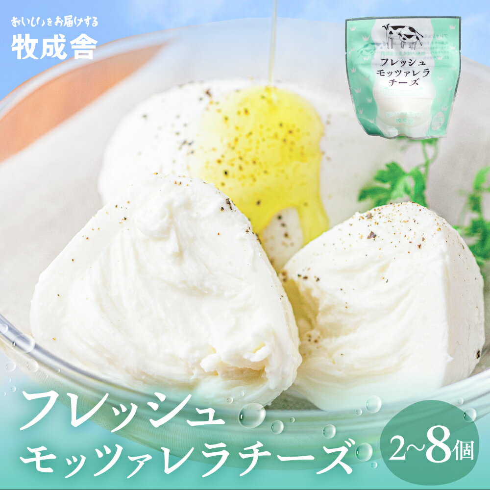 牧成舎 牛乳屋がていねいに作ったフレッシュモッツァレラチーズ 3個