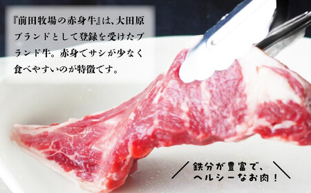 大田原ブランド認定牛 前田牧場の赤身牛100％使用 手ごねハンバーグ 140ｇ×5個  | 牛肉 高級 ブランド牛 ハンバーグ 手作り