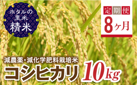 ＜定期便8ヶ月＞ 令和8年産米【ホタルの里米】環境に配慮し農薬を減らした栽培米 コシヒカリ精米10kg  F4D-2298
