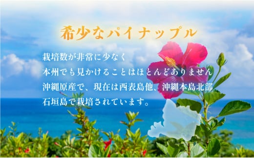 穫れたて新鮮冷凍！西表島の完熟ピーチパイン 3.2kg(400g×8袋)　 嘉本商店 完熟 果物 フルーツ