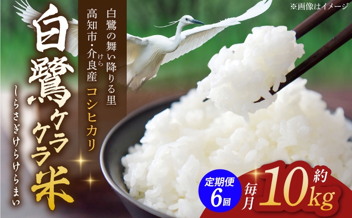 
                  【6回定期便】 R8年度産 特別栽培米 農薬節減！ 白鷺ケラケラ米 コシヒカリ 各約10kg 合計約60kg / 高知 米 お米 精米 　【津ノ宮農園】[ATBV015]
                
