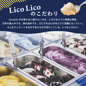 HAPPY BOX  LicoLicoジェラート定番ミルク1L＆定番8種×1個セット【560011】