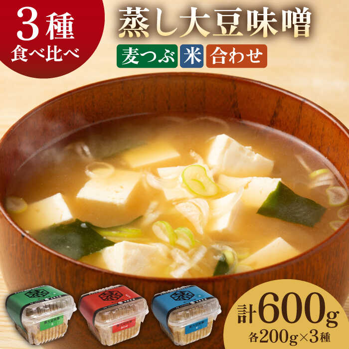 【ふるさと納税】【お試し】3種 の 無添加 味噌 （各200g） 食べ比べ セット【有限会社 木屋食品工業】[ZAD011]