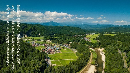 ＜定期便6回＞ 玄米 5kg 新潟県産 コシヒカリ はざ掛け 天日干し 令和7年産 越後奥阿賀産 | 小会瀬 はざがけ こしひかり 一等米 送料無料 お取り寄せ お米