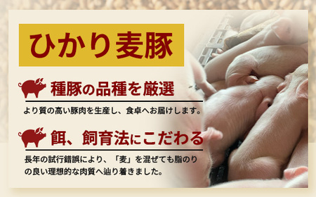 鹿児島県産 ひかり麦豚 手捏ねハンバーグ セット サイズ違い 大中小 ≪合計22個≫  HM-705 | 肉 お肉 にく 豚肉 絶品 ハンバーグ 添加物不使用 肉汁 ジューシー おかず お弁当 ロコモ