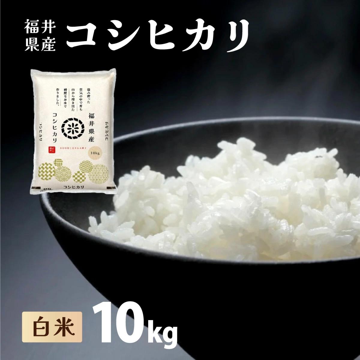 福井県産 コシヒカリ 精米 10kg（10kg×1）＜令和7年産 / 数量限定 ＞【米 コメ お米 精米 白米 無洗米 玄米 ご飯 飯 こしひかり ブランド米 国産】[095-a003_B]【敦賀市ふるさと納税】