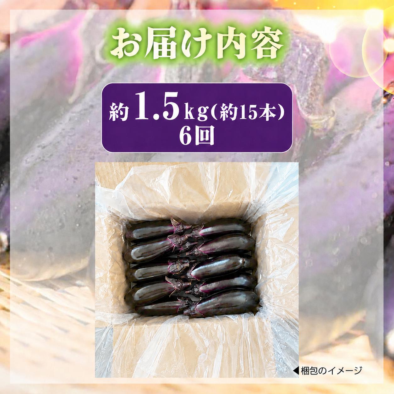 【先行受付】 6回定期便 「優秀賞受賞なす」 計9kg 約1.5kg×6回 採れたて 新鮮 旬 野菜 やさい 茄子 先行予約 期間限定 季節 料理 ご飯 ごはん 朝採れ 極上 フレッシュ 農産物 優秀