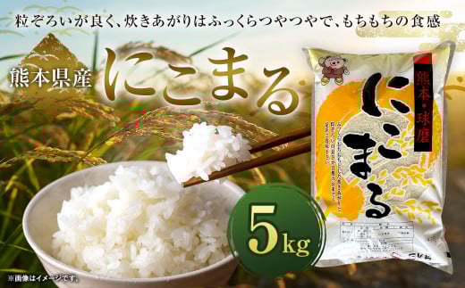 【 令和7年産 】 にこまる 5kg × 1袋 お米 白米 【2026年9月下旬迄発送予定】