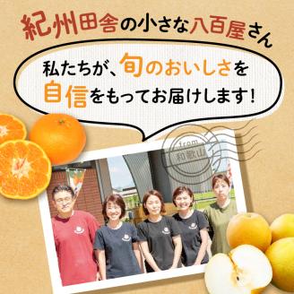 定期便 フルーツセット 年2回(夏・冬)【8060】
