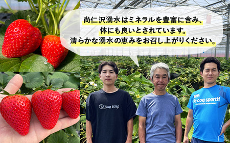 とちあいか（約300g×4パック）＆令和7年産無洗米コシヒカリ5kgセット！｜いちご 米 新米 5キロ 尚仁沢湧水 栃木県 塩谷町 ※2025年12月中旬～2026年4月下旬頃に順次発送予定 ※北海道