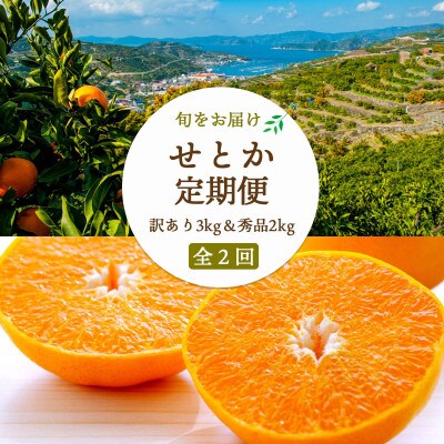 【2週間毎定期便】【約2週間毎】せとか2kg(秀)×せとか3kg(訳)【H25-275】全2回【4071245】