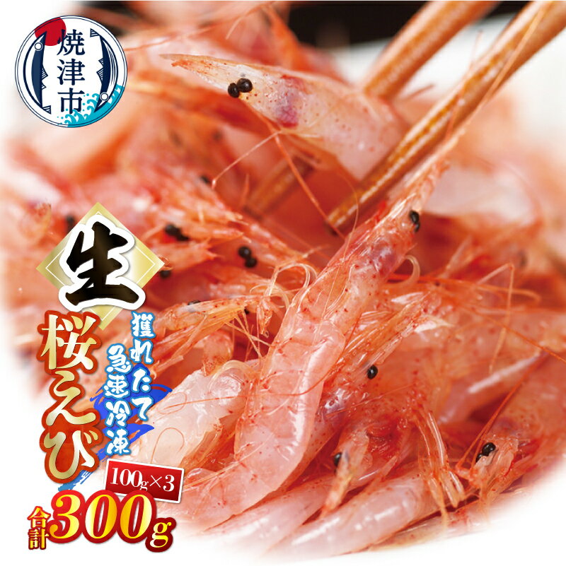 【ふるさと納税】 生桜えび 100g×3パック 合計300g 天然 新鮮 冷凍 焼津 a10-1249