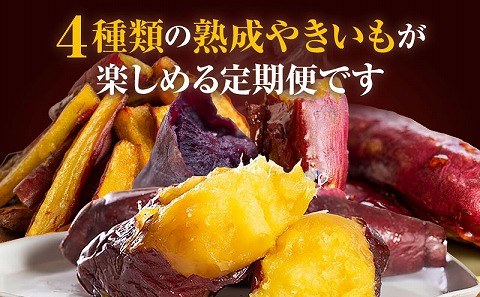 《2025年発送先行予約》【定期便・全3回】SAZANKA　熟成やきいも食べ比べセット