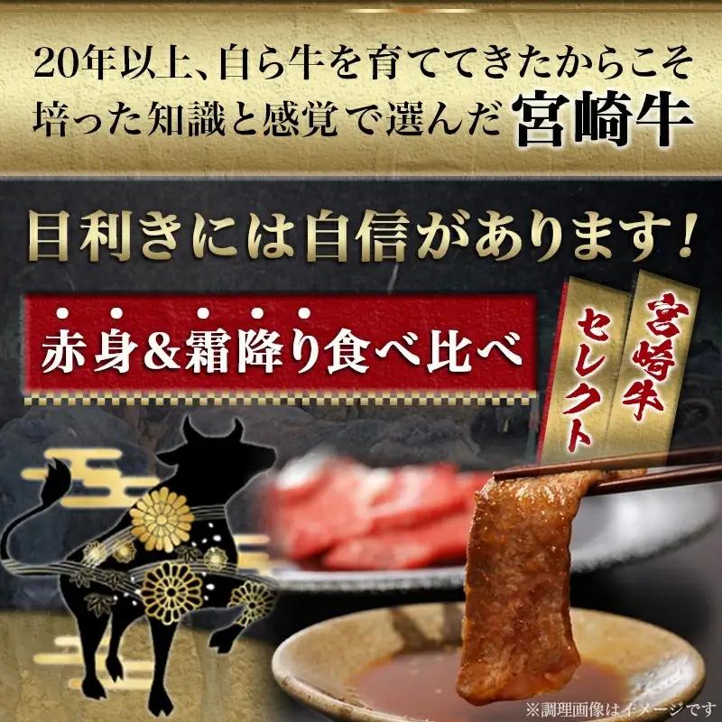 宮崎牛赤身＆霜降り【とろ旨カルビセット】550g〔17-6506〕_(都城市) 牛肉 牛もも焼肉用(300g×1パック) 牛肩ロース焼肉用(250g×1パック) 合計550グラム 赤身肉 霜降り肉 ギ